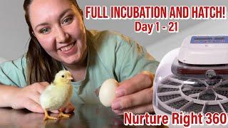 Incubating & Hatching the SMALLEST Chicken Breed from SHIPPED EGGS | Nurture Right 360 Incubator