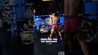 Spinning elbow = Muay Thai’s silent assassin  #shorts