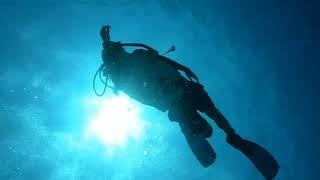 Yurikud - Diving