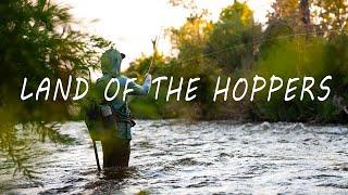 Fly Fishing Utahs Famous Hopper Season