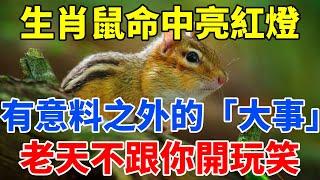 生肖鼠注意了！未來一周，命中亮紅燈，有意料之外的「大事」，老天不跟你開玩笑！【佛語禪音】#生肖 #命理 #運勢 #屬相 #風水