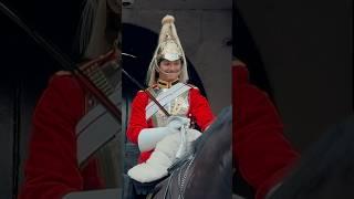 HORSE DID THIS & IT MADE GUARD SMILE  | Horse Guards, Royal guard, Kings Guard, Horse