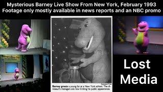 Mysterious Barney Live Show From New York, February 1993 (Lost Media)