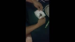 Tai Yi Moxibustion