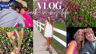 WEEKLY VLOG: tulip festival, scrapbook update, game night, spray tan & more! 