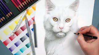 How To Draw White Fur With Colored Pencils