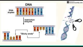 Biotechnology Notes