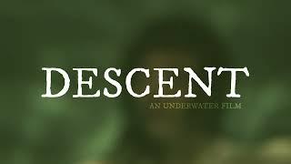 DESCENT - A Proof of Concept