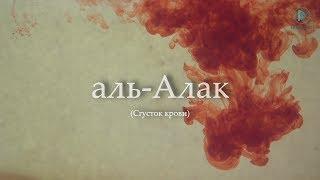 Очень красивое чтение суры аль-'Аляк العلق (Сгусток крови) Омар Хишам аль-Араби