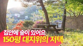 집 안에 숲이 있어요. 150평 대지위의 저택 45억 평창동 단독주택