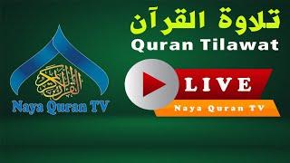 Quran Recitation || Quran Tilawat Live || Naya Quran TV is live