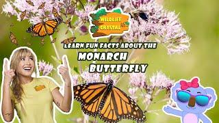 Monarch Butterfly Facts