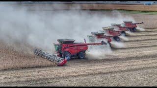 Case IH AF10 Combine w/ 50' MacDon in Soybeans, Interview w/ 5th-Generation Dealer Michael Schmidt