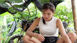 Genius girl LY THI BEN repairs gasoline saws for her neighbors