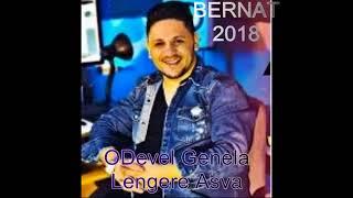 BERNAT O DEVEL GENELA  LENGERE ASVA 2018