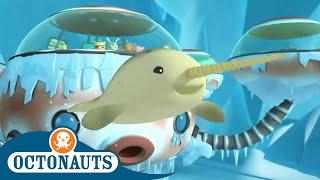 Octonauts - Journey Through the Ice | Cartoons for Kids