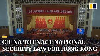 Hong Kong democrats bash national security law from China’s two sessions, US also voices concern