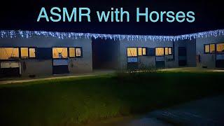 ASMR Relaxing with horses.