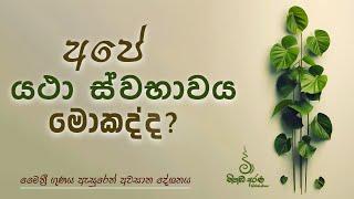 අපේ යථා ස්වභාවය මොකක්ද ? - Ven Aluthgamgoda Gnanaweera Thero | නිහඬ අරණ