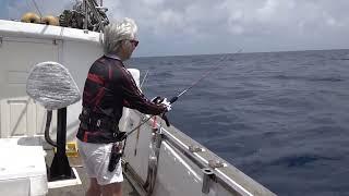 Jigging Master Master V.I.P rod Perfect