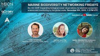 Marine Biodiversity Networking Friday on Bio-GO-SHIP