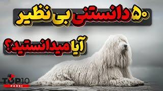 آیا میدانستید؟ 50 دانستنی جالب ویژه نوروز باستانی