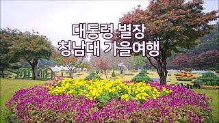 [청남대] 대통령 별장 청남대 가을여행 가을축제 CheongNamDae