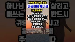 마음판에 새기라 | 기적을 일으키는 말씀 | #말씀조은tv #목양교회 #말씀듣기 #큐티 #성경암송 #1분말씀묵상 #기도