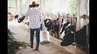 TechCow Farms: American Innovation in Agriculture #usa #cows #farm #cowlife #farming