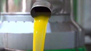 How It's Made Olive Oil