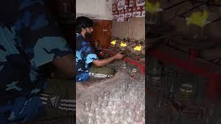 Recycling Glass Bottles into Water Glass: Factory Process
