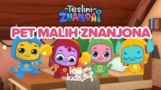 TESLINI ZNANJONI - PET MALIH ZNANJONA // PESMICE ZA DECU // @IDJKids​