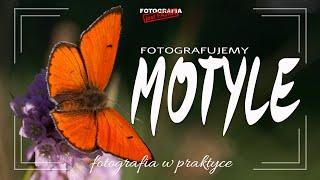  Jak fotografować motyle - Fotografia jest Fajna