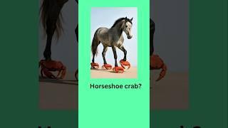 Literal Vs Reality English Compound Words || Part 133