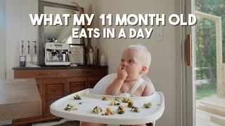 What My 11 Month Old Eats In A Day - Breakfast, Lunch, Dinner, Snacks + Bottle Feeding W/ Timestamps