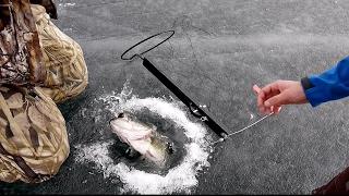 Big Bass THROUGH THE ICE ft. Andrew Flair | Ice Fishing VLOG