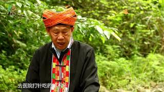 老中医联盟-一位隐世大瑶山里的老中医；他厉害，也古怪。