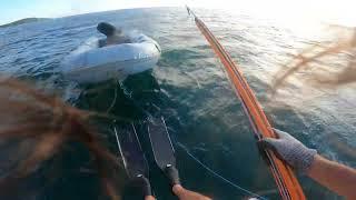 JE PARS CHASSER EN CATAMARAN, LA VIDÉO S'ARRÊTE QUAND J'AI UN POISSON