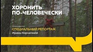 Специальный репортаж: кладбище домашних животных — кощунство или необходимость?