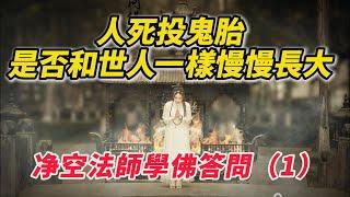 人死投鬼胎，是否和世人一樣慢慢長大？眷屬在陽世祭祀，亡者是否知道？他的靈魂還能來嗎？净空法師佛學問答（1）