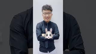 兩隻小白叫什麼？【老王的後花園】Shorts #兔子 #蠟筆小新 #狗 #搞笑 #memes