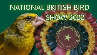 National British Bird Show 2022