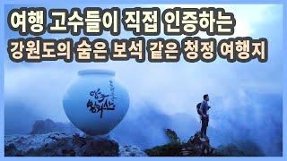 여행 고수들이 인증하는 강원도의 숨은 보석 같은 청정 여행지 / DMZ 두타연, 봉화산 운해, 상무룡 출렁다리, 양구백자박물관 / 양구 여행, 국내여행, 국내여행지 추천