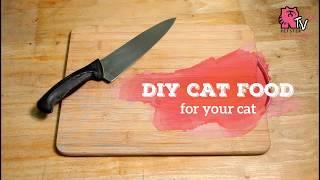 DIY Cat Food