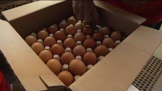 Eggs expected to reach record-high prices in 2025