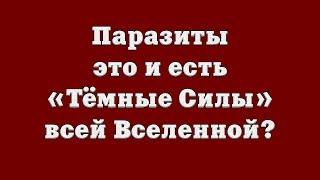 Паразиты – это и есть «Тёмные Силы» всей Вселенной?