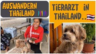 Als Familie nach Thailand auswandern.. Wir besuchen den Tierarzt in Thailand.. 