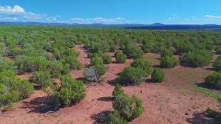 20 ACRES FOR SALE! AZ - Navajo - 404 53 011B