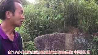 和师傅韦冠成在河南信阳寻龙点穴！天然龙枕石！风水大师风水宝地