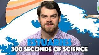 What Are Estuaries? | 30 Seconds of Science